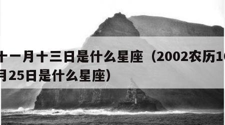 十一月十三日是什么星座（2002农历10月25日是什么星座）