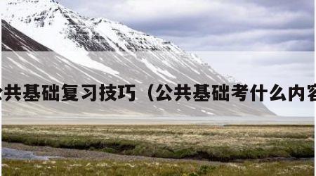 公共基础复习技巧（公共基础考什么内容）