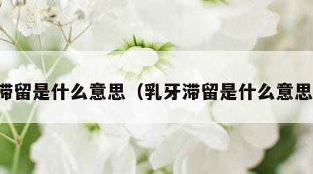 滞留是什么意思（乳牙滞留是什么意思）