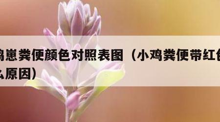 小鸡崽粪便颜色对照表图（小鸡粪便带红色是什么原因）