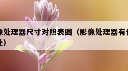 影像处理器尺寸对照表图（影像处理器有什么用处）
