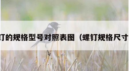 螺钉的规格型号对照表图（螺钉规格尺寸图）