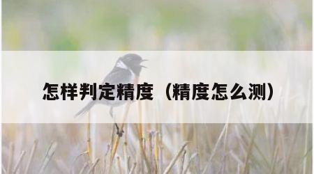 怎样判定精度（精度怎么测）