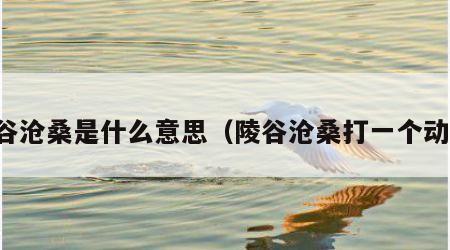 陵谷沧桑是什么意思（陵谷沧桑打一个动物）