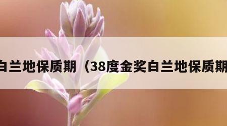 白兰地保质期（38度金奖白兰地保质期）