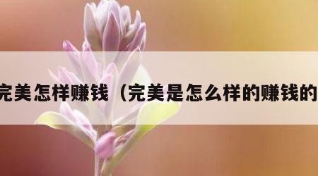 完美怎样赚钱（完美是怎么样的赚钱的）
