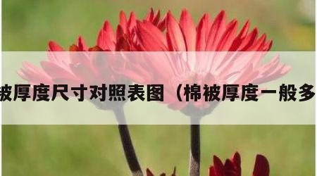 棉被厚度尺寸对照表图（棉被厚度一般多少）