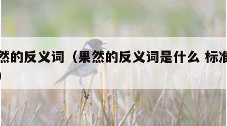 果然的反义词（果然的反义词是什么 标准答案）