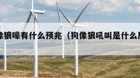 狗像狼嚎有什么预兆（狗像狼吼叫是什么原因）
