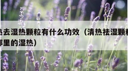 清热去湿热颗粒有什么功效（清热祛湿颗粒是去哪里的湿热）