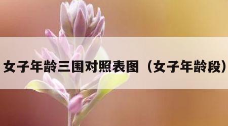 女子年龄三围对照表图（女子年龄段）