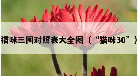 猫咪三围对照表大全图（“猫咪30”）