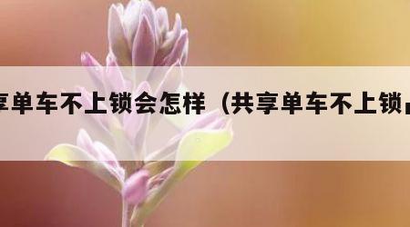 共享单车不上锁会怎样（共享单车不上锁占车）
