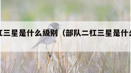 二杠三星是什么级别（部队二杠三星是什么级别）