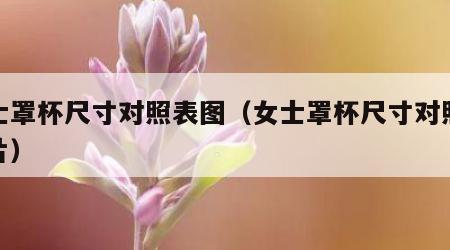 女士罩杯尺寸对照表图（女士罩杯尺寸对照表图片）