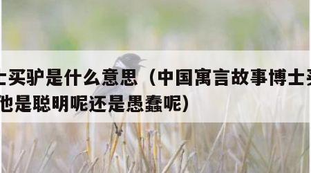 博士买驴是什么意思（中国寓言故事博士买驴,说他是聪明呢还是愚蠢呢）