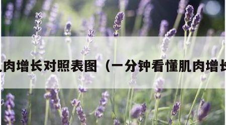 肌肉增长对照表图（一分钟看懂肌肉增长）