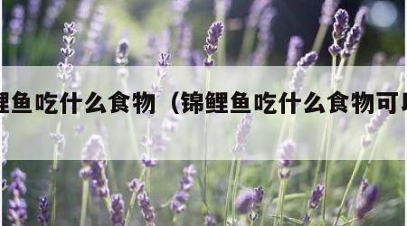 锦鲤鱼吃什么食物（锦鲤鱼吃什么食物可以增色）