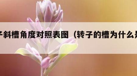 转子斜槽角度对照表图（转子的槽为什么是斜的）