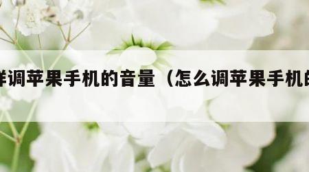 怎样调苹果手机的音量（怎么调苹果手机的音量）