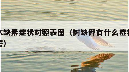 树木缺素症状对照表图（树缺钾有什么症状和危害）