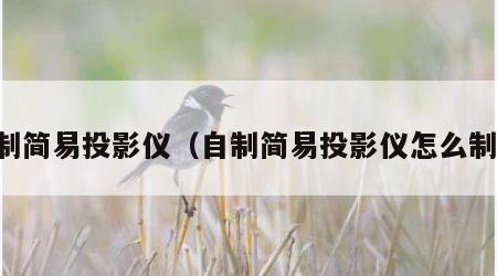 自制简易投影仪（自制简易投影仪怎么制作）