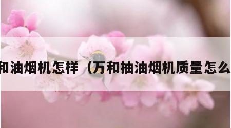万和油烟机怎样（万和抽油烟机质量怎么样）