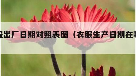 衣服出厂日期对照表图（衣服生产日期在哪标注）