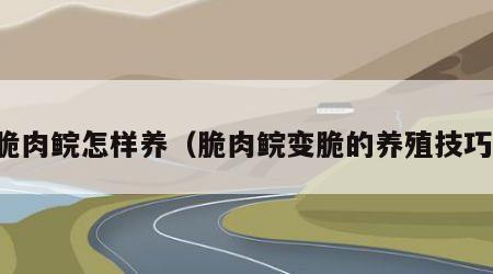 脆肉鲩怎样养（脆肉鲩变脆的养殖技巧）