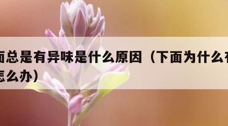 下面总是有异味是什么原因（下面为什么有异味怎么办）