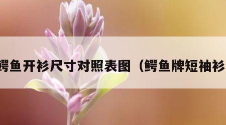 鳄鱼开衫尺寸对照表图（鳄鱼牌短袖衫）
