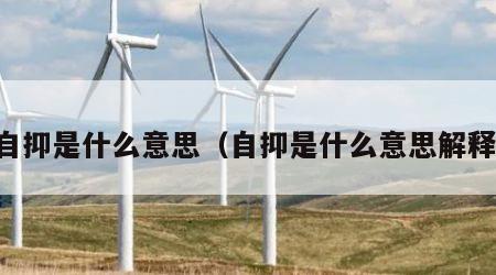 自抑是什么意思（自抑是什么意思解释）