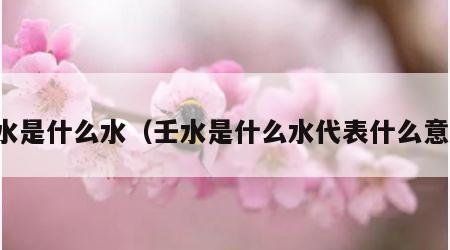 壬水是什么水（壬水是什么水代表什么意思）