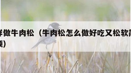 怎样做牛肉松（牛肉松怎么做好吃又松软简单视频）