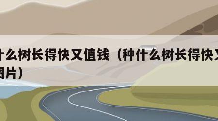 种什么树长得快又值钱（种什么树长得快又值钱图片）