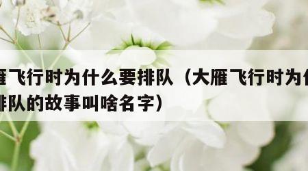 大雁飞行时为什么要排队（大雁飞行时为什么要排队的故事叫啥名字）