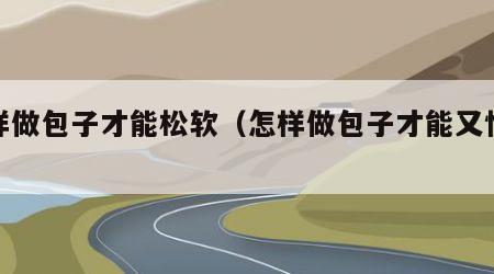 怎样做包子才能松软（怎样做包子才能又快又好）