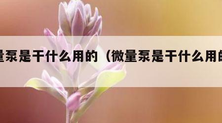微量泵是干什么用的（微量泵是干什么用的呢）