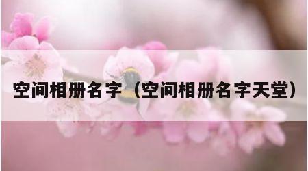 空间相册名字（空间相册名字天堂）