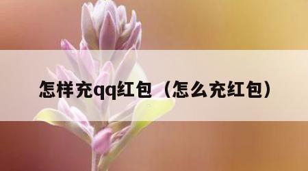 怎样充qq红包（怎么充红包）