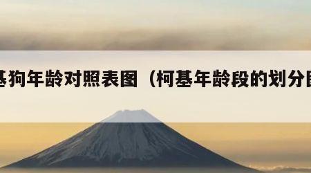 柯基狗年龄对照表图（柯基年龄段的划分图片）