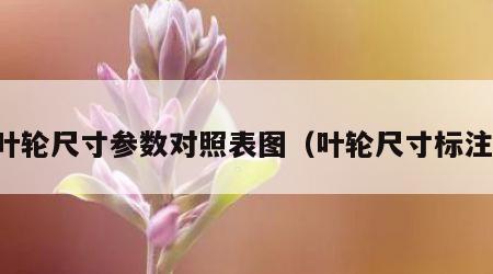 叶轮尺寸参数对照表图（叶轮尺寸标注）