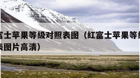 红富士苹果等级对照表图（红富士苹果等级对照表图片高清）
