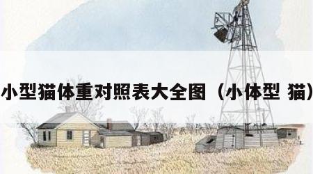 小型猫体重对照表大全图（小体型 猫）