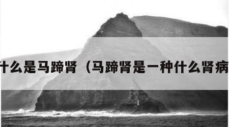 什么是马蹄肾（马蹄肾是一种什么肾病）