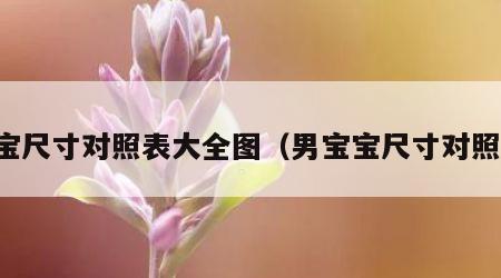 男宝尺寸对照表大全图（男宝宝尺寸对照表）
