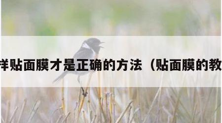 怎样贴面膜才是正确的方法（贴面膜的教程）