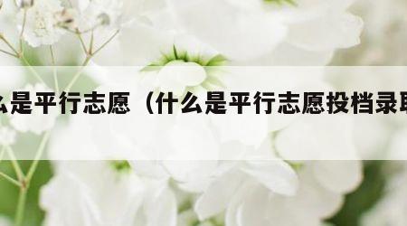 什么是平行志愿（什么是平行志愿投档录取模式）