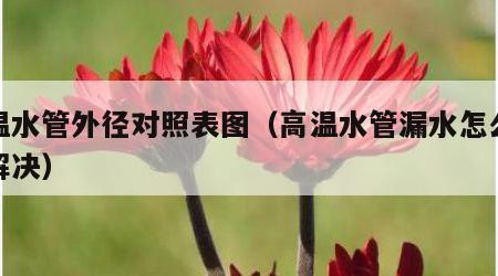 高温水管外径对照表图（高温水管漏水怎么快速解决）