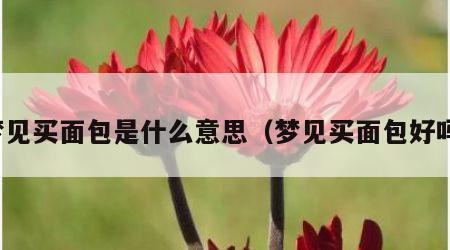梦见买面包是什么意思（梦见买面包好吗）